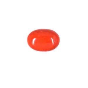 Red Coral - 4.95 Carat