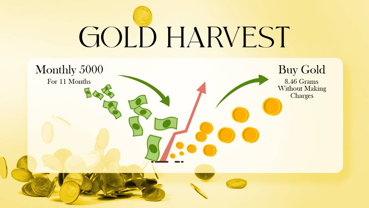 gold harvest (2)