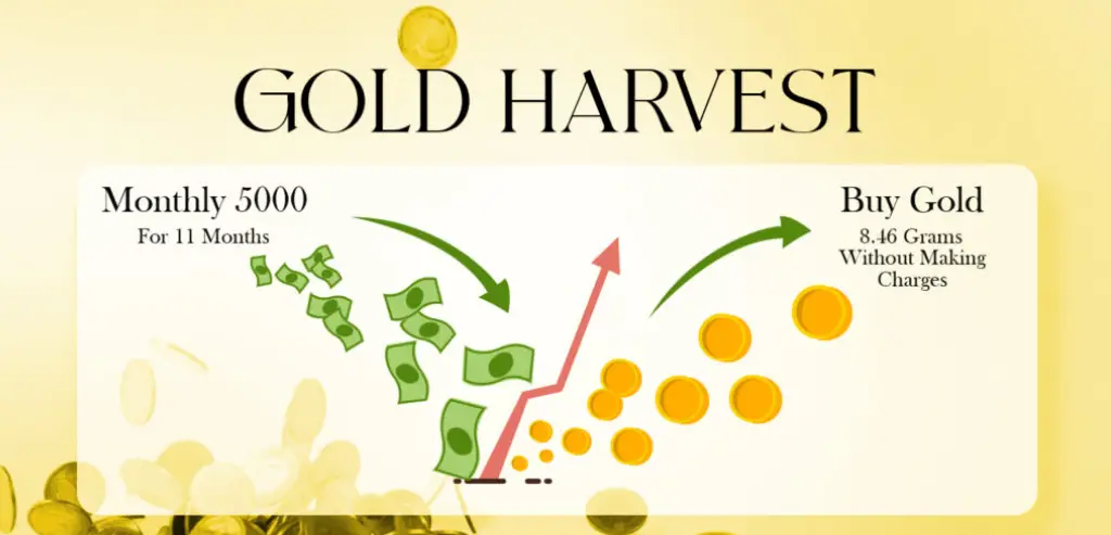 gold-harvest-scheme